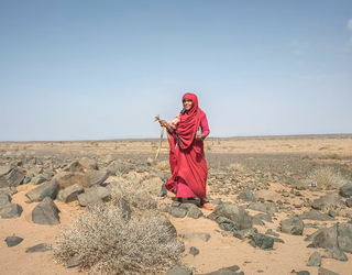 Saharako emakumeei aurpegia jartzeko ahalegina