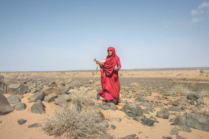 Saharako emakumeei aurpegia jartzeko ahalegina