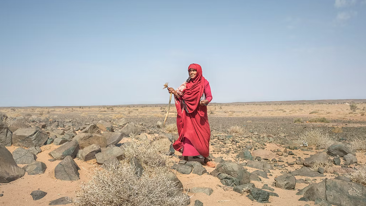 Saharako emakumeei aurpegia jartzeko ahalegina