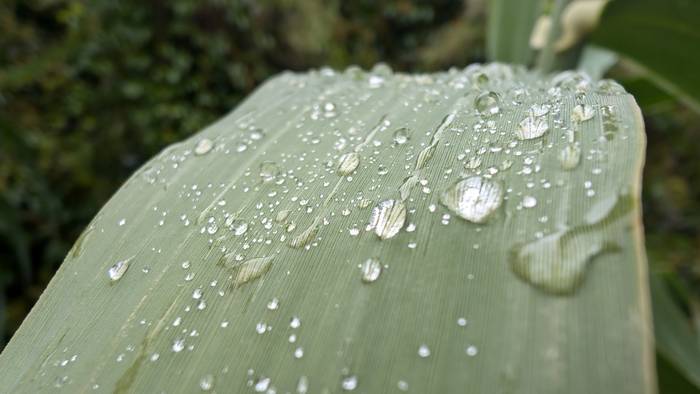 Aterkia eta jertsea eskura