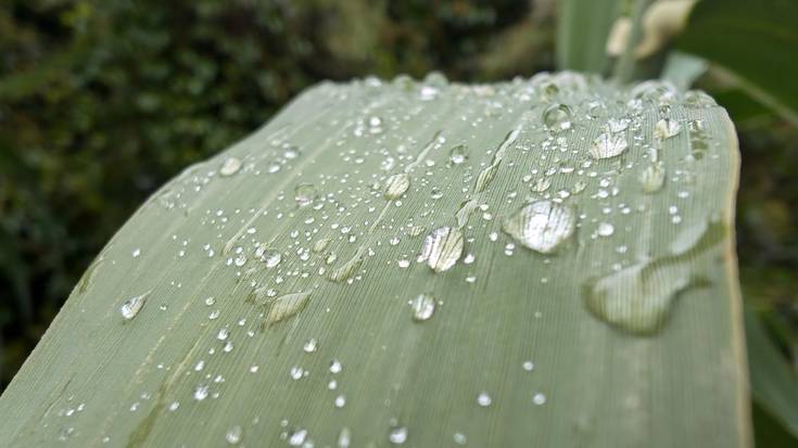 Aterkia eta jertsea eskura