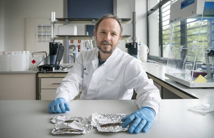 Ardiei ilea noiz mozten hasi zitzaien argitzeko zirrikitua aurkitu dute