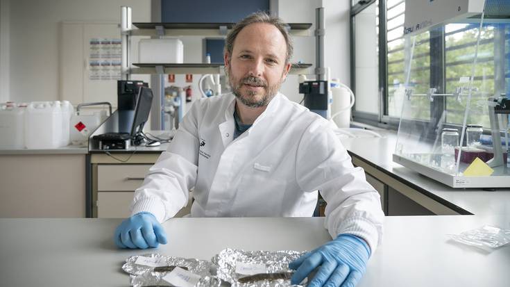 Ardiei ilea noiz mozten hasi zitzaien argitzeko zirrikitua aurkitu dute