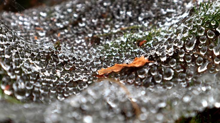 Tantak, baina ez demasekoak