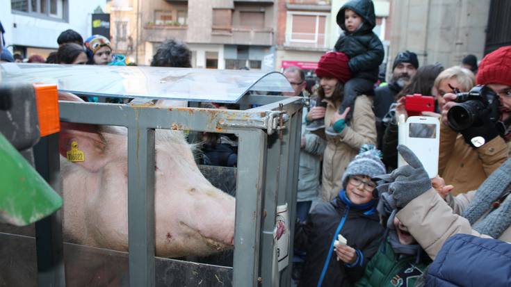 San Anton eguna ospatuko dute gaur