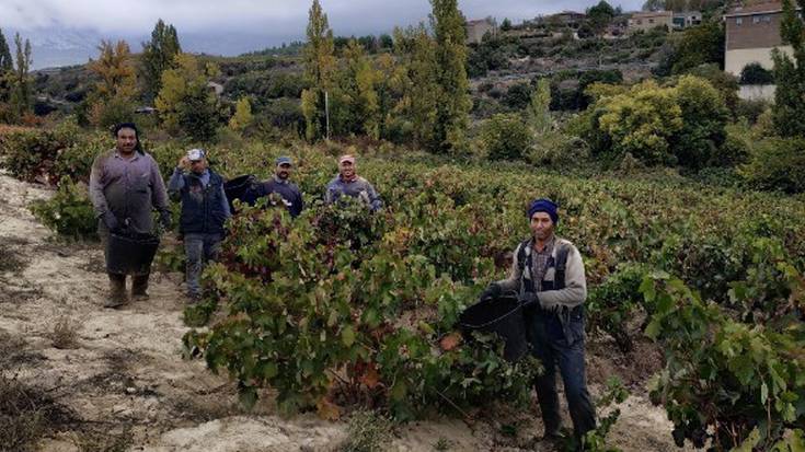 Sasoikako 585 langilek parte hartu dute mahats-biltzean