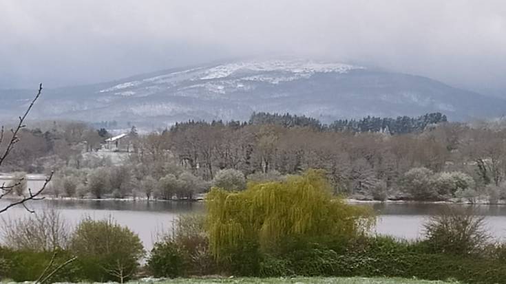 Elurra iritsi da Arabara