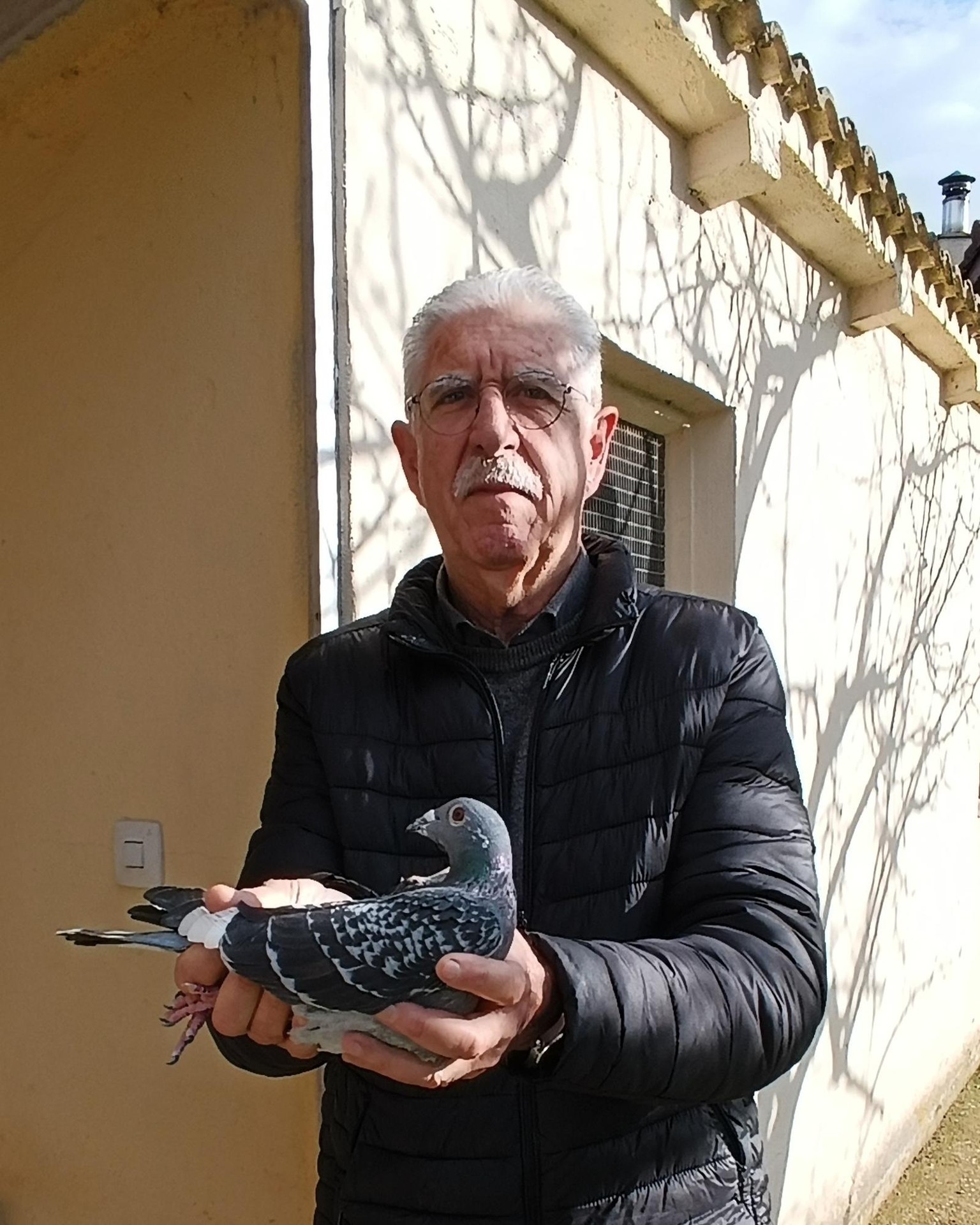 Hegodun mezulariak