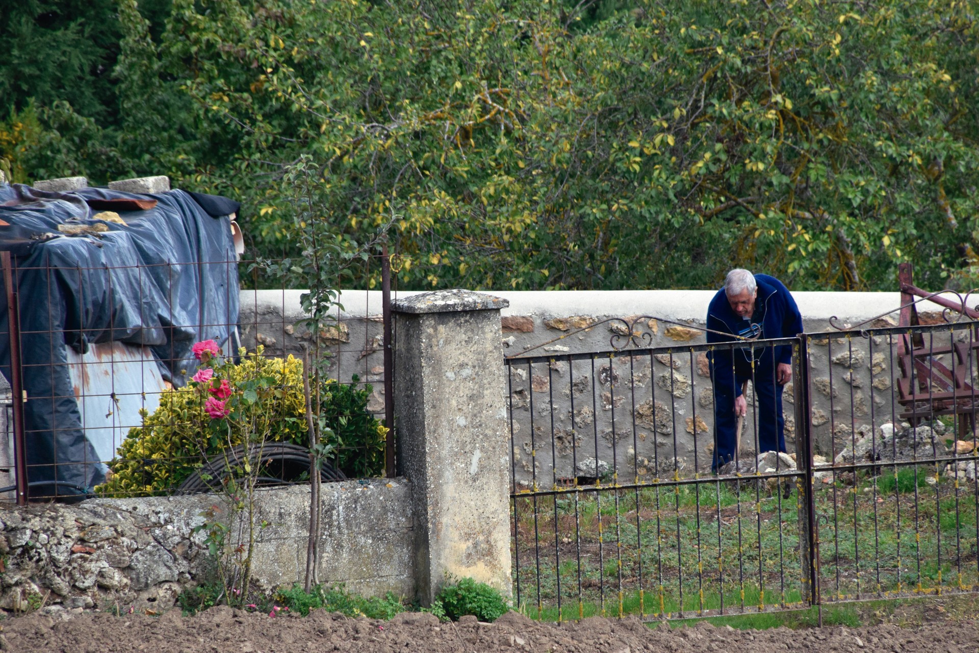 Bertan bizitzeko aukerak faltan