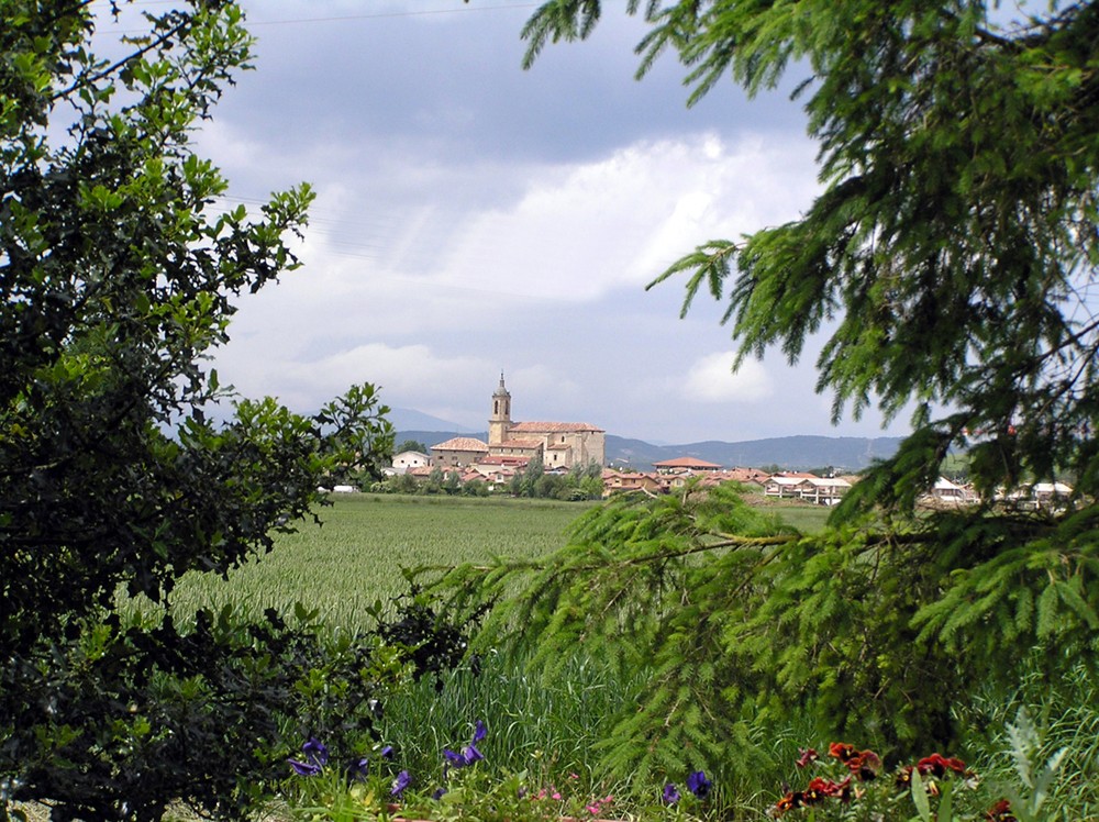 Burgu