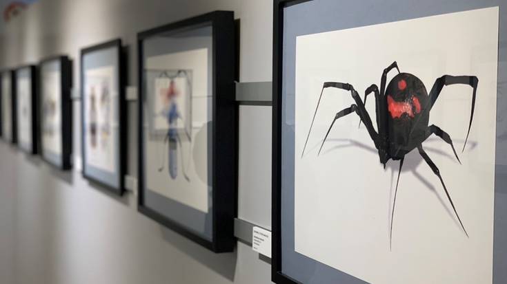 Ilustrazio zientifikoa ezagutarazteko erakusketa