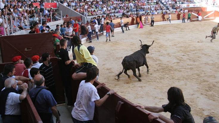 Udalak esan du bigantxak egongo direla Gasteizko jaietan, enpresa arduradunik oraindik ez badago ere