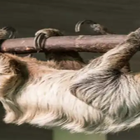 "Slow life" erronkak