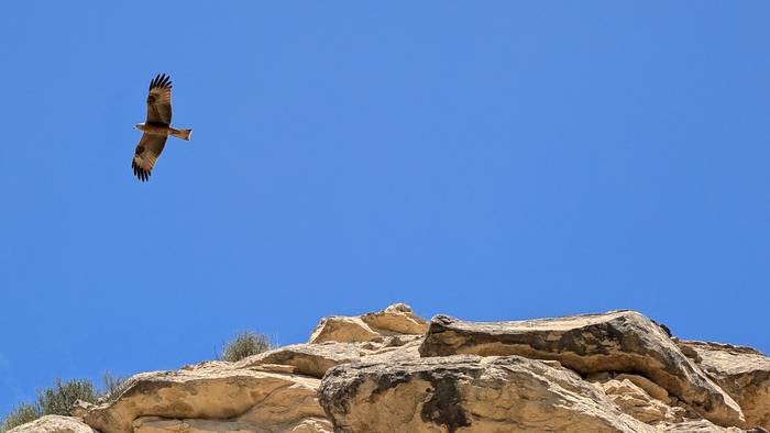 Giro eguzkitsuko azken eguna