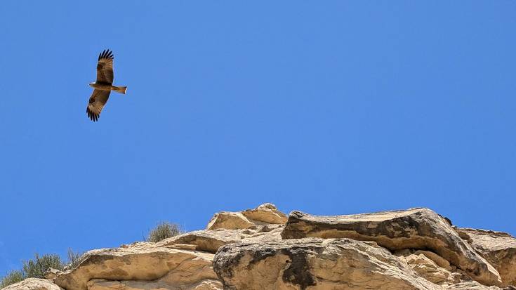 Giro eguzkitsuko azken eguna