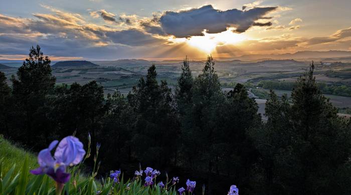 Hodeiek gutxitzera joko dute