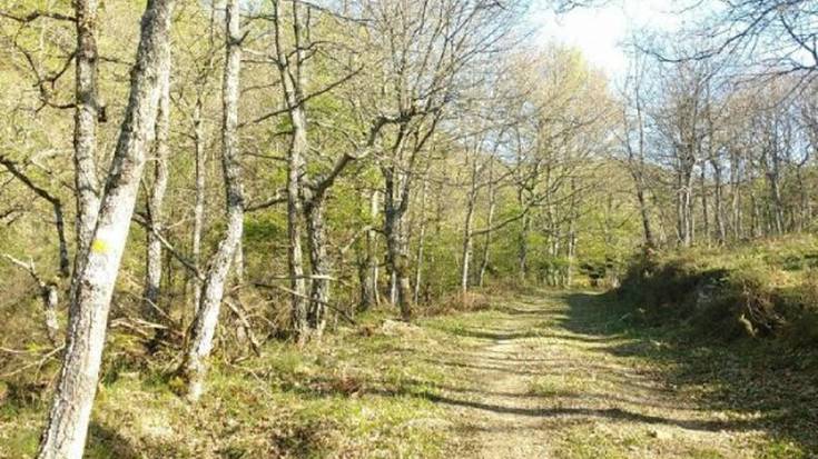 [GEUREKIN MENDIRA]  Narbaiz-Arantzazu-Narbaiza