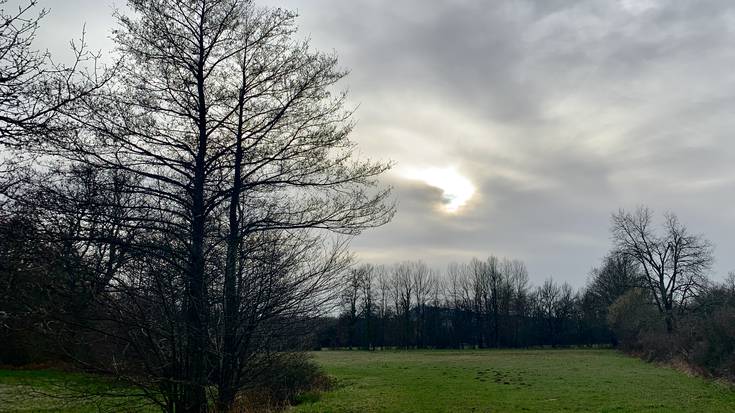 Zeru estaliak eta haizeteak