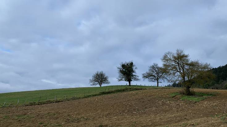 Hodeitzak trinkotzera joko du
