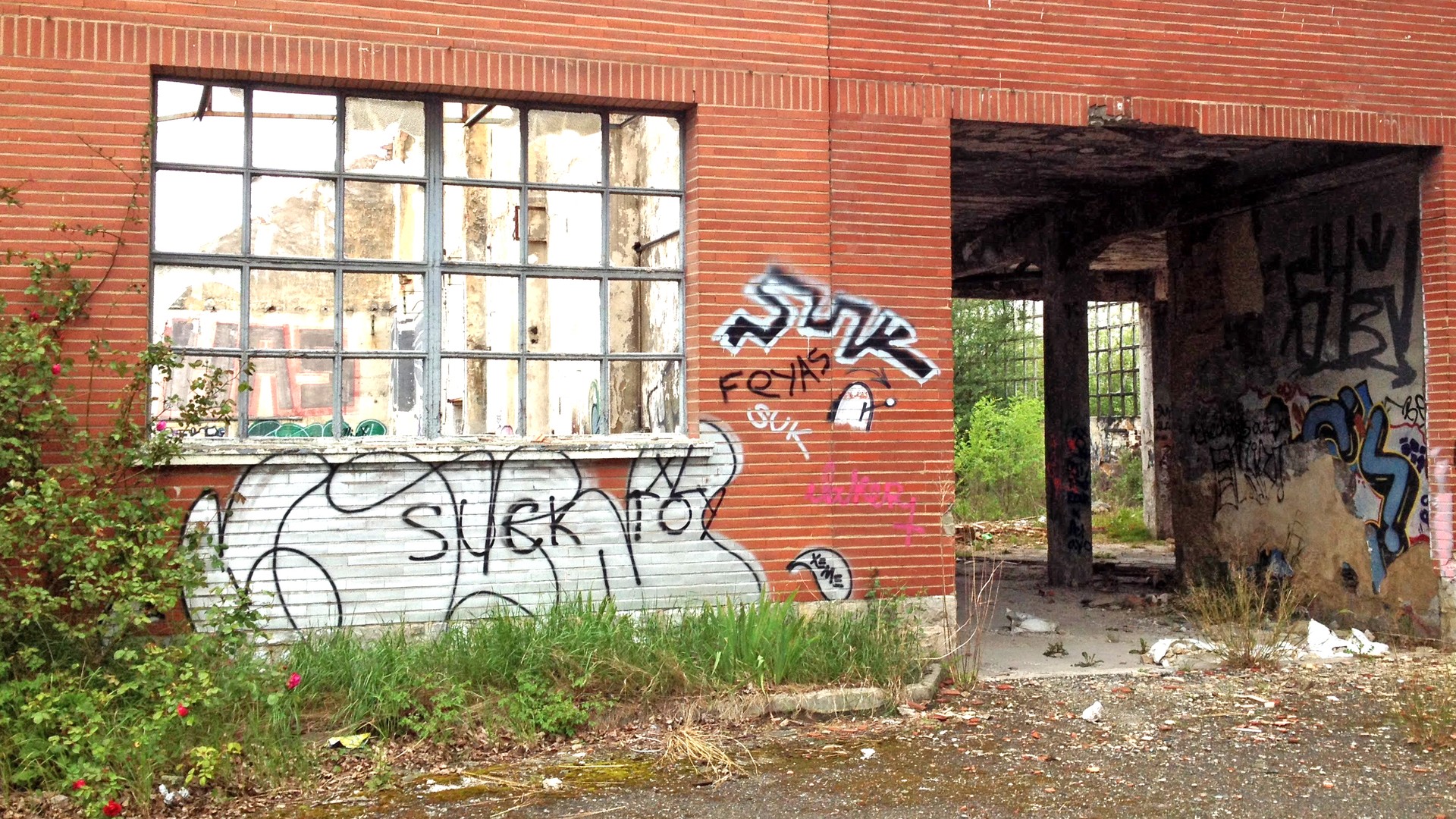 Gasteizek OSINT teknikak erabiliko ditu grafitigileen aurka