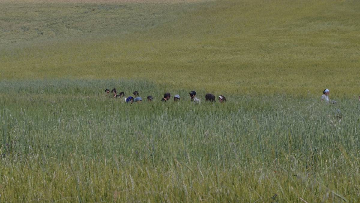 Ekologikoan, nahiko berde