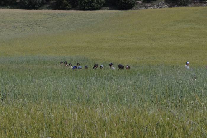 Ekologikoan, nahiko berde