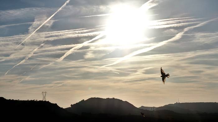 Bigarren zatian, argitsuago