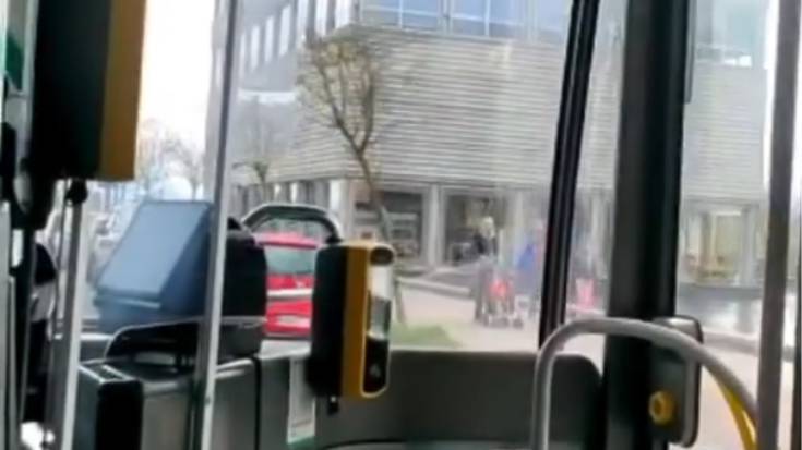 Tuvisako gidari batek egindako irain arrazistak ikertzen ari dira