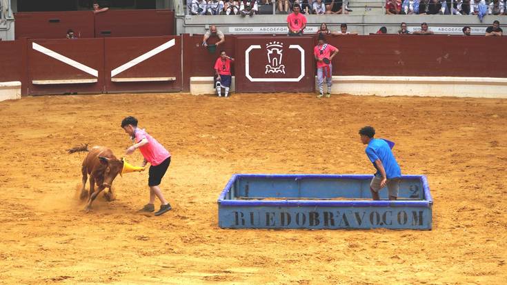 Tauromakiaren legea uxatu dute