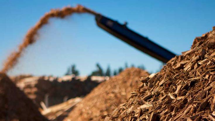 57,8 milioi euroko inbertsioa izango du Lantarongo biomasa plantak