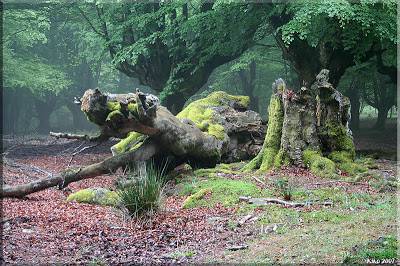 Mendi buelta Albertiara