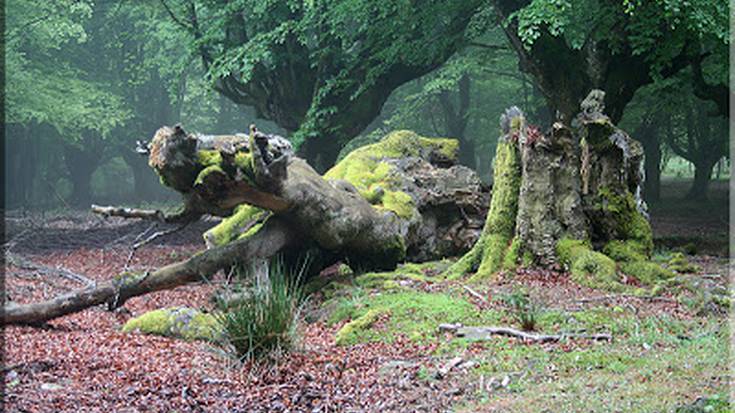 Mendi buelta Albertiara