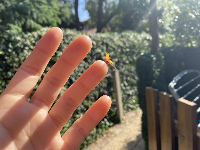 Atzamarretatik bihurritzen diren momentuak pausatu nahian