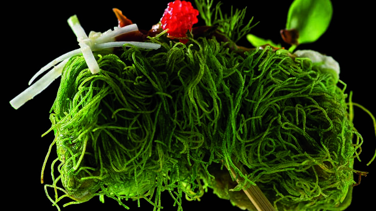 Gasteiz, miniaturazko sukaldaritzaren hiriburua