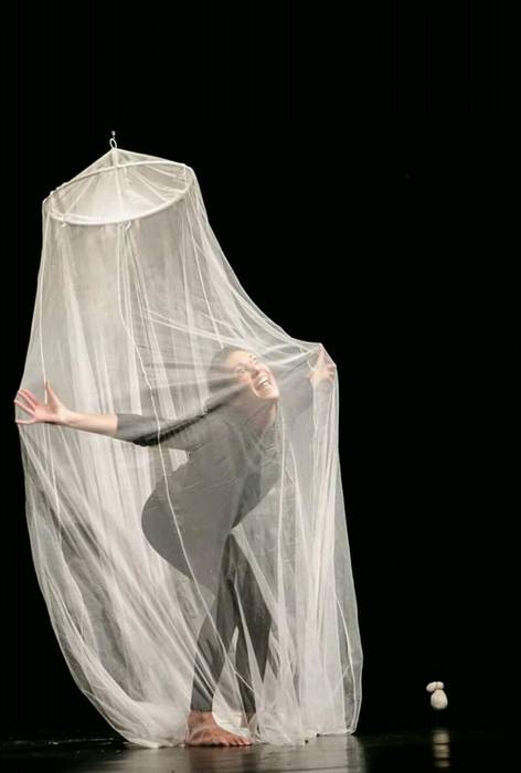 Eltxoak [Mikroantzerkia euskaraz] 