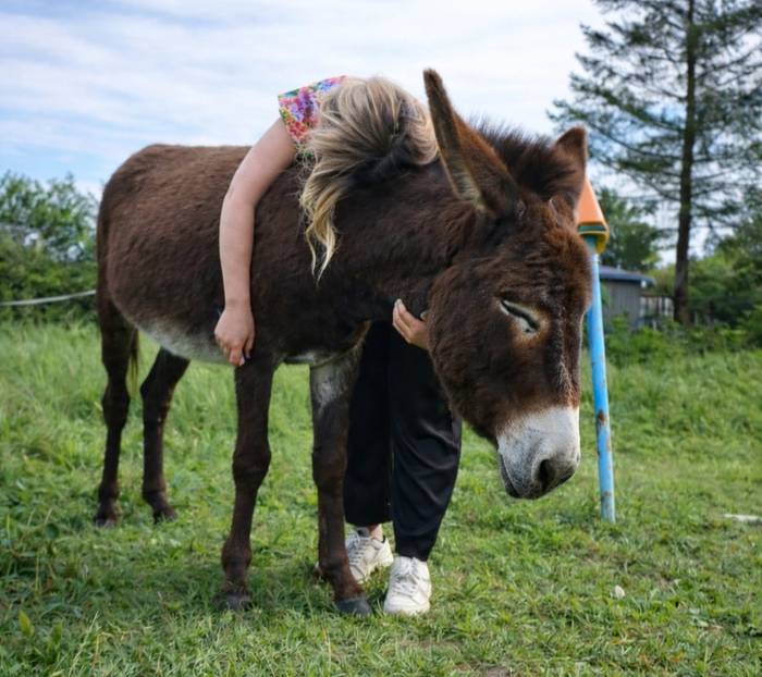 Denboraldi berria abiatu du Gauekoak gazteentzako aisialdi programak