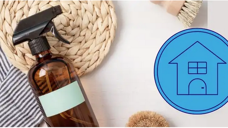 Toxikorik gabeko etxea