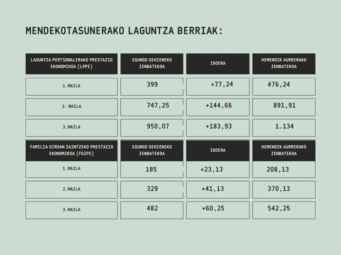 Mendekotasunaren laguntza ekonomikoak igotzea onartu du aldundiak