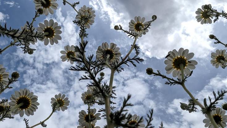 Ez du aldatzeko asmorik