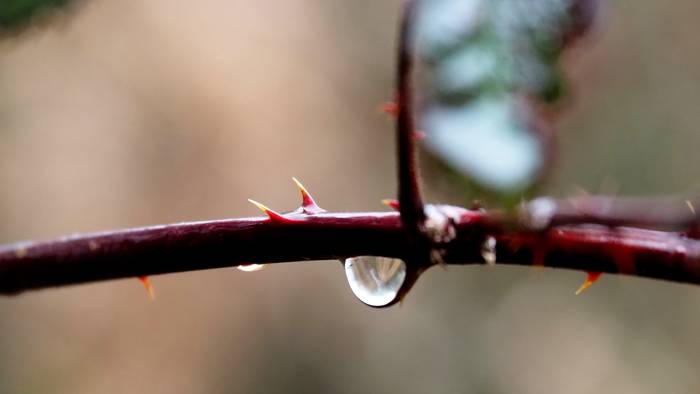 Lainotuta eta bustitzeko aukeraz