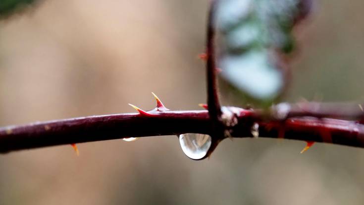 Lainotuta eta bustitzeko aukeraz