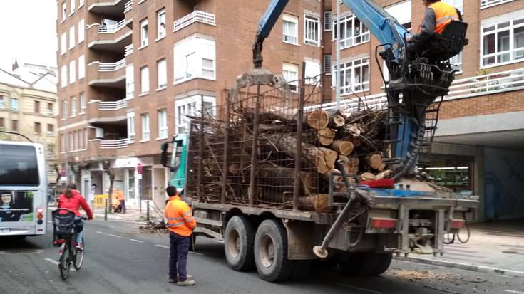 Gasteizek zuhaitzekiko erakusten duen "mespretxua" salatu du Eguzkik