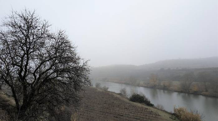 Laino iraunkorrak, leku askotan