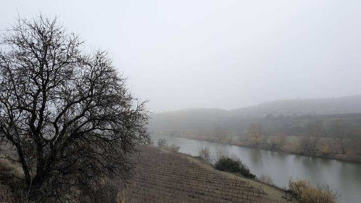 Laino iraunkorrak, leku askotan