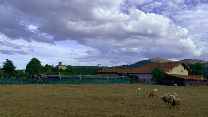 Hodeitsu, eta euritsu arratsaldean