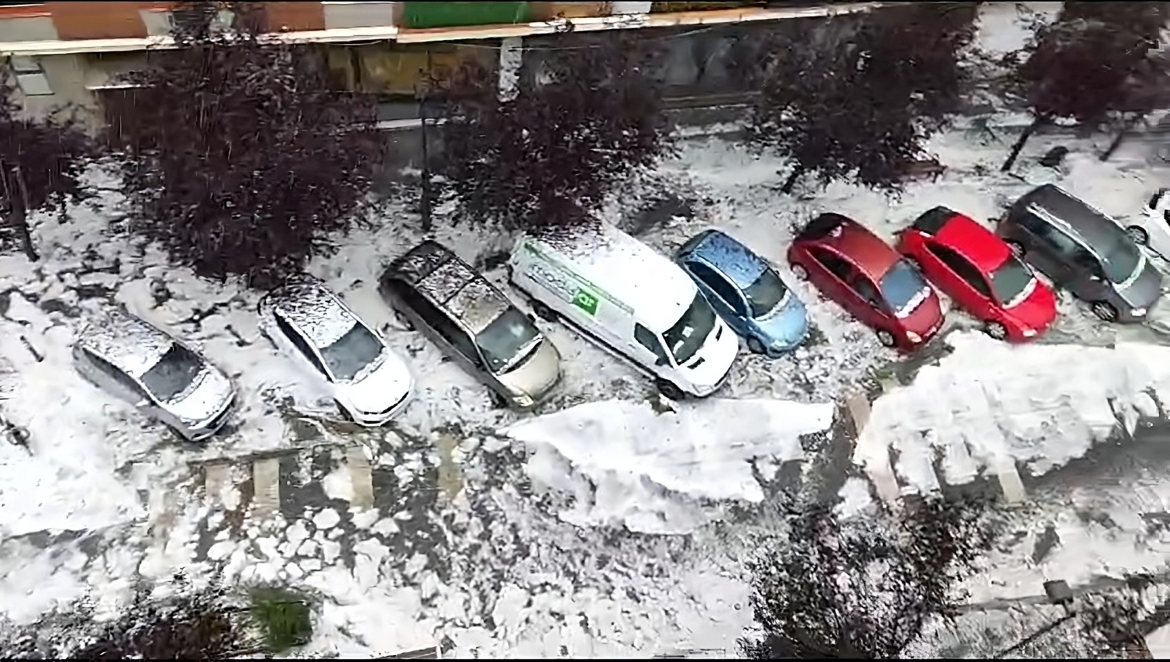 1,8 milioi euroko kalteak eragin ditu txingorrak Gasteizko Udalaren instalazioetan