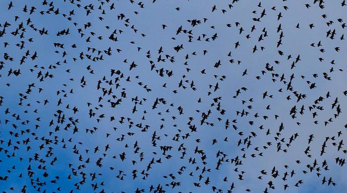 Haize indartsua goizean