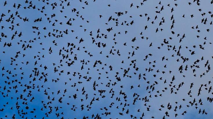 Haize indartsua goizean