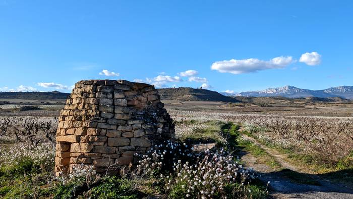 Ostiral eguzkitsua dator