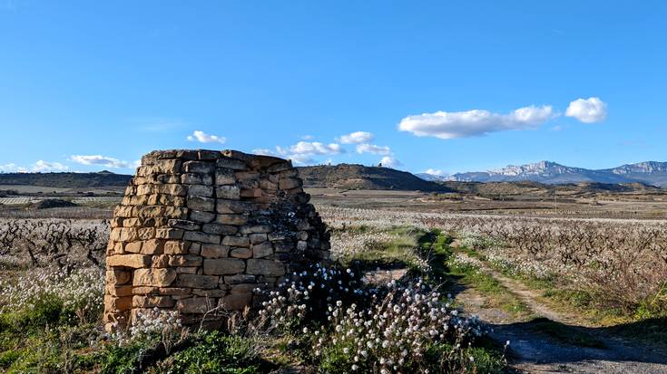 Ostiral eguzkitsua dator